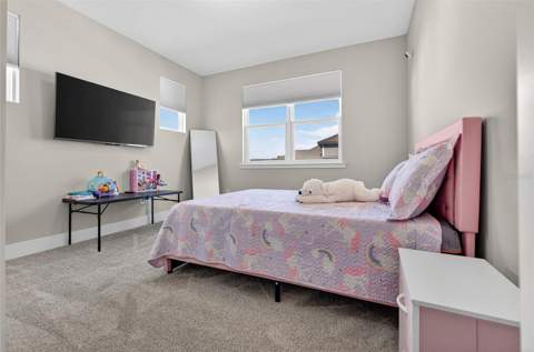 5217 Citrus Leaf Boulevard, Winter Garden FL - photo 19 of 28