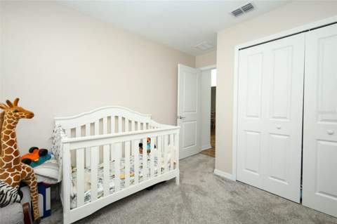 5325 Red Coral Circle, Mount Dora FL - photo 22 of 47