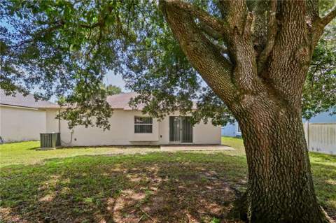 34703 Birchmont Lane, Zephyrhills FL - photo 6 of 6