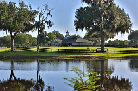 13375 W Highway 318, Williston FL - photo 6 of 6