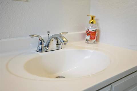909 Ursula Street, Ocoee FL - photo 16 of 32