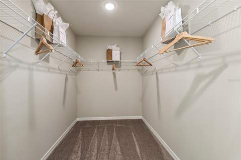 31685 Oyster Trellis Lane, Wesley Chapel FL - photo 9 of 27