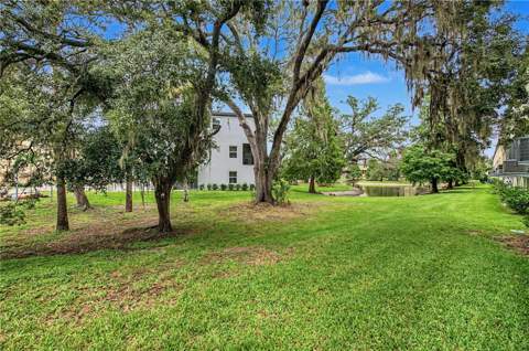 4607 Tuscan Loon Drive, Tampa FL - photo 20 of 50