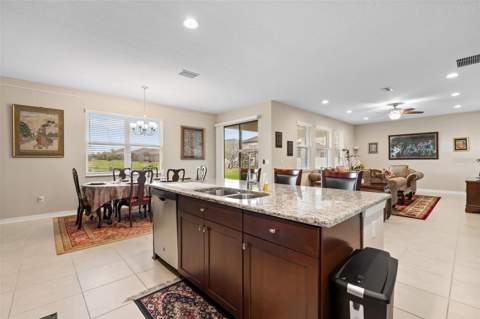 31046 Parrot Reef Court, Wesley Chapel FL - photo 21 of 99
