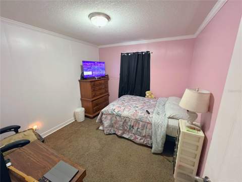 1710 Belmont Avenue, Mulberry FL - photo 12 of 26