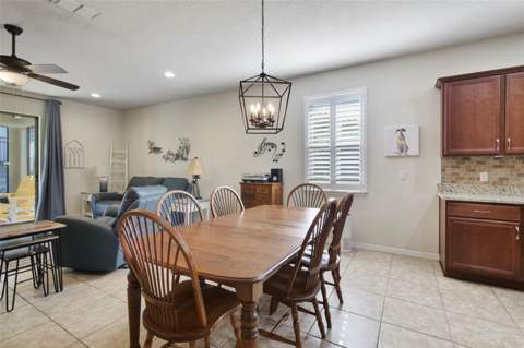 21315 Sorraia Cove, Mount Dora FL - photo 17 of 33