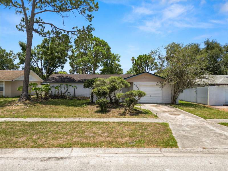 Carrollwood Meadows