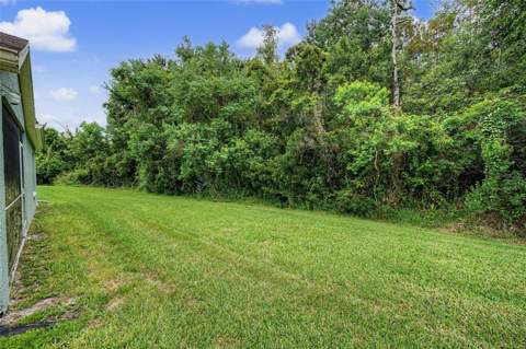 5526 Gallant Fox Court, Wesley Chapel FL - photo 21 of 28