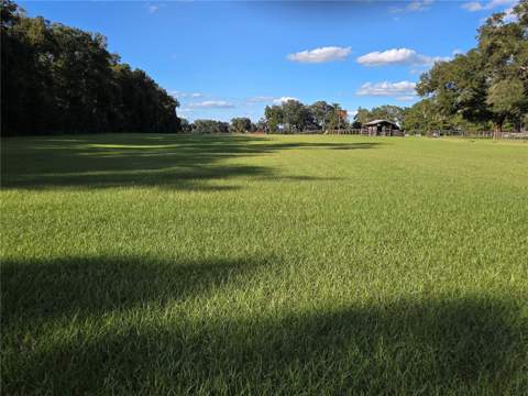 950 W Highway 316, Citra FL - photo 11 of 24