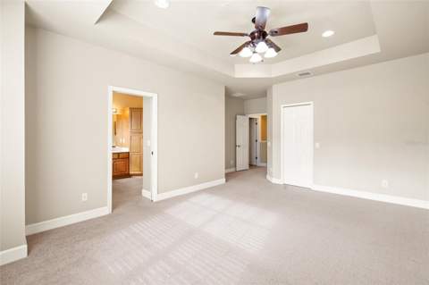 14543 Mirabelle Vista Circle, Tampa FL - photo 21 of 52
