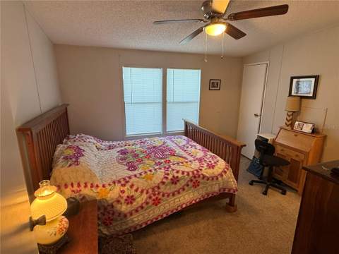 37542 Pinata Avenue, Zephyrhills FL - photo 8 of 12