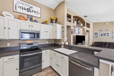 23814 Coral Ridge Lane, Land O Lakes FL - photo 9 of 46