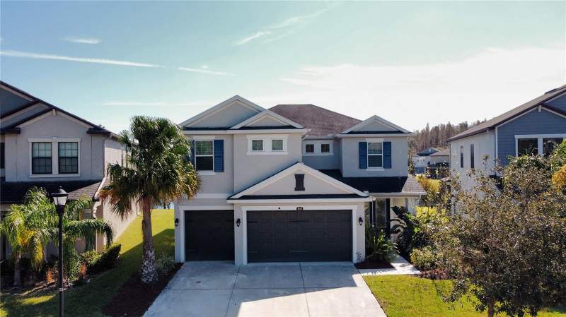 Tampa Palms Area