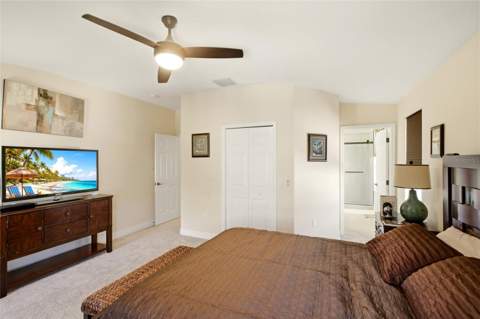477 Harbor Ridge Drive, Palm Harbor FL - photo 23 of 43