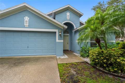 3306 Pin Oak Lane, Tampa FL - photo 6 of 6