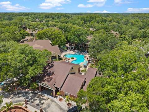 8754 Mallard Reserve Drive #201, Tampa FL - photo 6 of 6