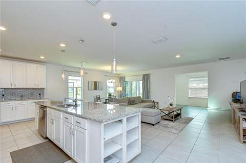 8325 Olive Brook Drive, Wesley Chapel FL - photo 20 of 39