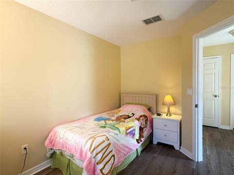 8535 Bay Lilly Loop, Kissimmee FL - photo 24 of 58