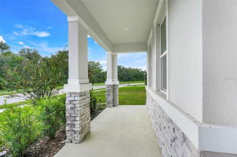10169 Spring Lake Drive, Clermont FL - photo 14 of 61
