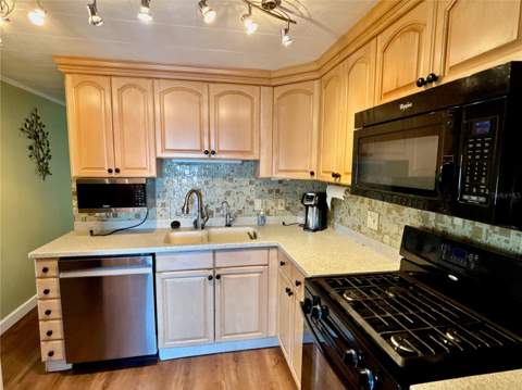 144 Americana Court #218, St Petersburg FL - photo 10 of 35