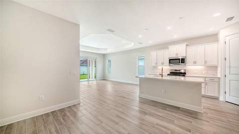 4408 Spoon Blade Drive, Parrish FL - photo 18 of 41