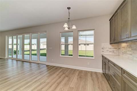 33882 Twilight Sea Place, Dade City FL - photo 21 of 50
