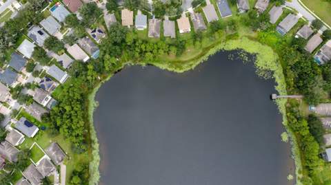3341 Lake Jean Drive, Orlando FL - photo 11 of 40