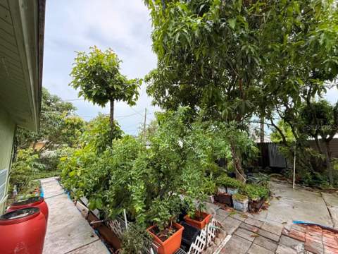 4203 S Trask Street, Tampa FL - photo 21 of 22