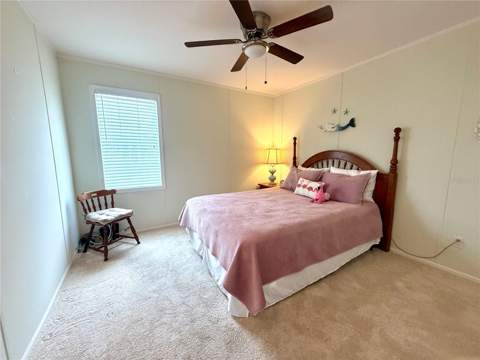 260 S Port Royal Lane, Apollo Beach FL - photo 14 of 19