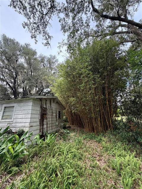 14120 NE 110th Avenue Road, Fort Mc Coy FL - photo 6 of 6