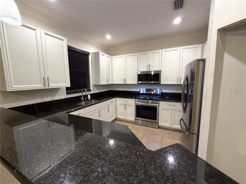 19314 Red Sky Court, Land O Lakes FL - photo 9 of 28