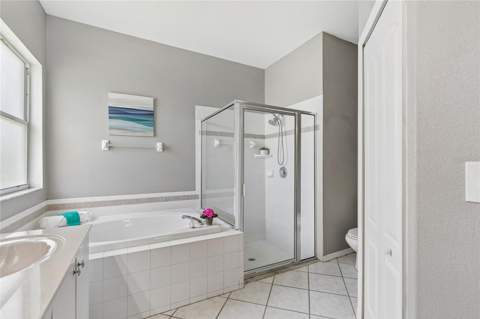 27211 Liriope Court, Wesley Chapel FL - photo 23 of 49