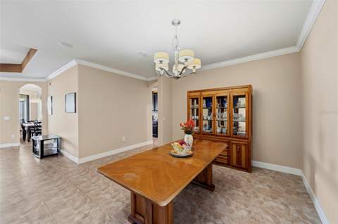 5009 Jagged Cloud Drive, Wimauma FL - photo 13 of 84