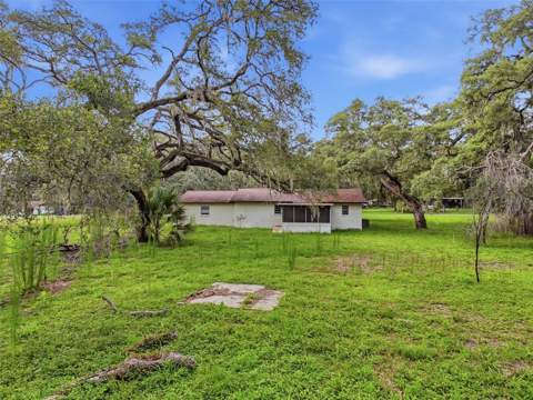 34696 Orchid Parkway, Dade City FL - photo 9 of 20