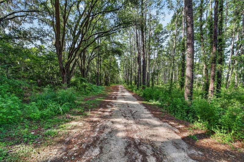2 bedroom Single Family Residence at 15020 W Highway 328, Ocala, Ocala — photo 5