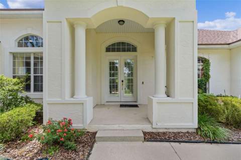 39407 Treeline Drive, Lady Lake FL - photo 7 of 84