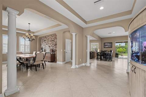 17815 Daisy Farm Drive, Lutz FL - photo 12 of 52