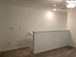 17522 Nectar Flume Drive, Land O Lakes FL - photo 11 of 13