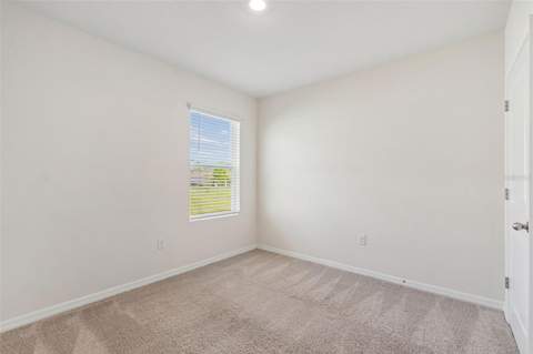 35525 Stella Vast Drive, Zephyrhills FL - photo 13 of 51
