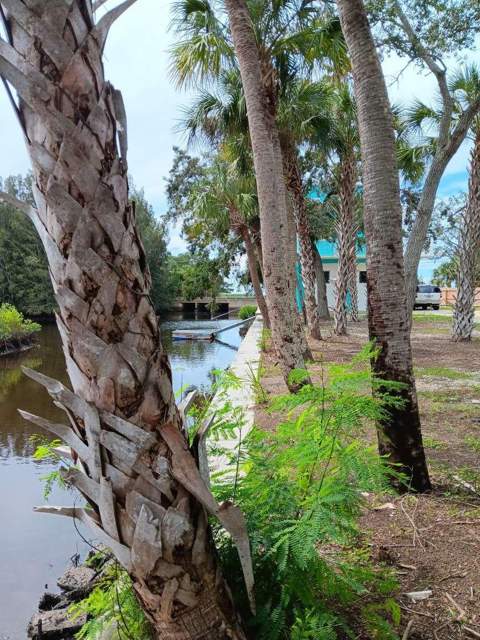 1334 Osowaw Boulevard, Spring Hill FL - photo 8 of 24
