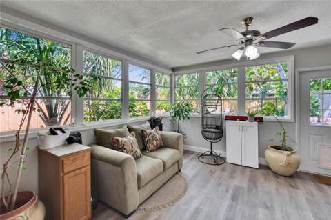 1623 San Mateo Drive, Dunedin FL - photo 15 of 37