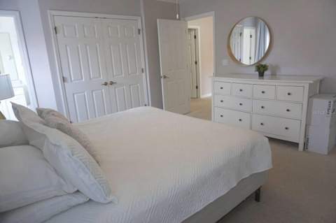 3162 Yellow Lantana Lane, Kissimmee FL - photo 17 of 20