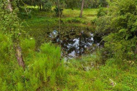 1220 NE 342nd Trail, Okeechobee FL - photo 8 of 15