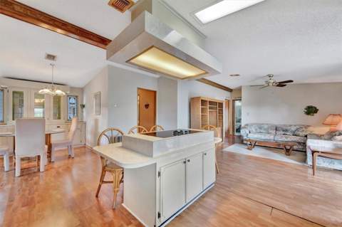 236 N Saint Thomas Circle, Apollo Beach FL - photo 8 of 32