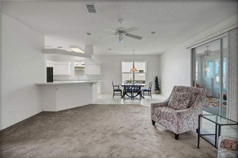 333 Ranchwood Drive, Leesburg FL - photo 11 of 74