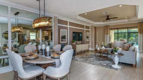 30189 Imperati Boulevard, Wesley Chapel FL - photo 10 of 35