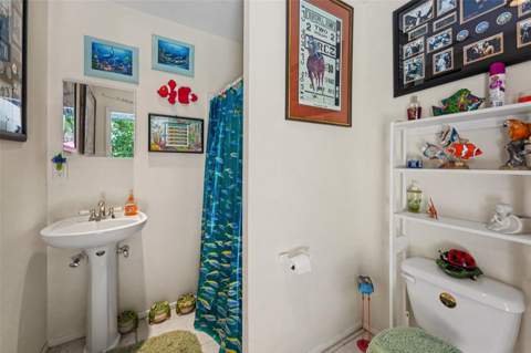 3061 Alt 19, Palm Harbor FL - photo 12 of 30