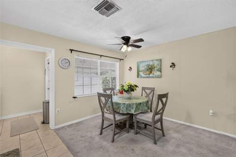 445 S Grandview Street #8, Mount Dora FL - photo 13 of 25