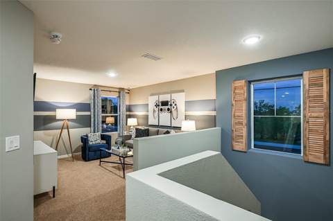 31731 Oyster Trellis Lane, Wesley Chapel FL - photo 20 of 24