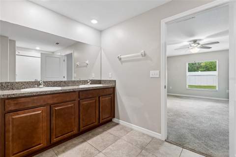 3706 Cat Mint Street, Tampa FL - photo 12 of 25